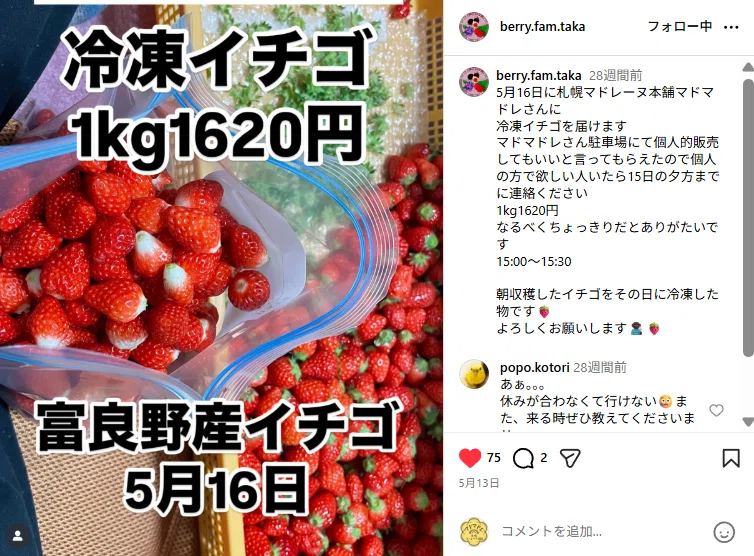 お届けいただいた小野農園さんの冷凍イチゴ